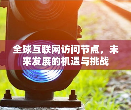 全球互联网访问节点，未来发展的机遇与挑战