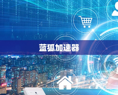蓝狐加速器