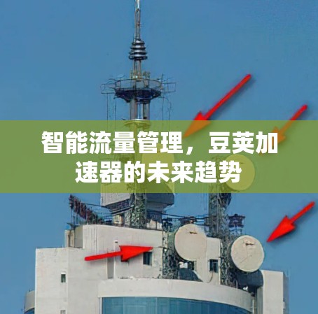 智能流量管理，豆荚加速器的未来趋势