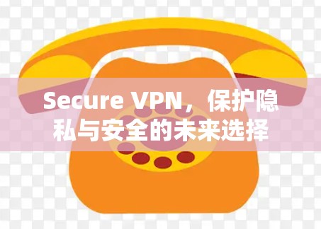 Secure VPN,保护隐私与安全的未来选择