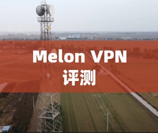 Melon VPN评测