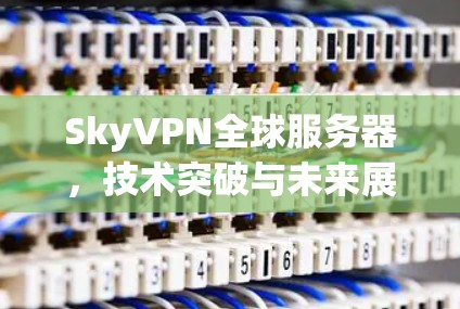 SkyVPN全球服务器,技术突破与未来展望