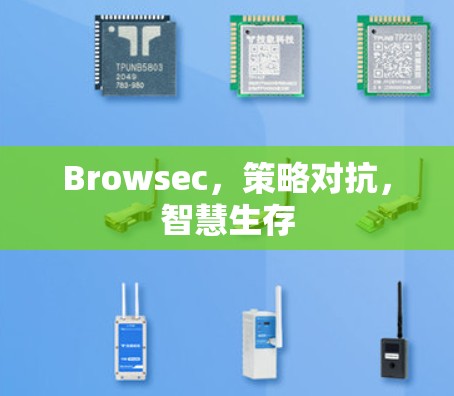 Browsec,策略对抗,智慧生存