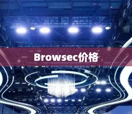 Browsec价格