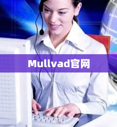 Mullvad官网
