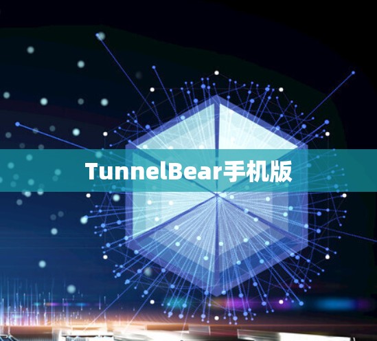 TunnelBear手机版 TunnelBear手机版