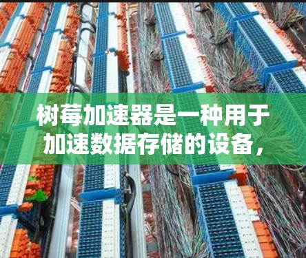 树莓加速器是一种用于加速数据存储的设备,通常指树莓手机或树莓电脑。它能够将手机或电脑上的文件快速读写到另一台设备上,如另一台手机或电脑上。以下是关于树莓加速器的一些基本信息和使用方法 树莓加速器是一种用于加速数据存储的设备,通常指树莓手机或树莓电脑。它能够将手机或电脑上的文件快速读写到另一台设备上,如另一台手机或电脑上。以下是关于树莓加速器的一些基本信息和使用方法