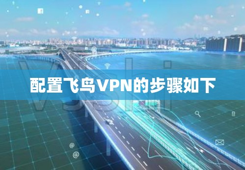 配置飞鸟VPN的步骤如下 配置飞鸟VPN的步骤如下