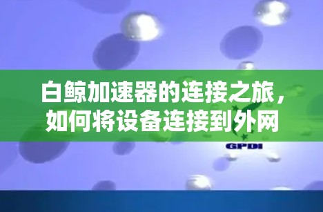 白鲸加速器的连接之旅,如何将设备连接到外网 白鲸加速器的连接之旅,如何将设备连接到外网