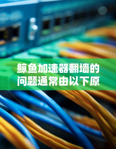 鲸鱼加速器翻墙的问题通常由以下原因引起 鲸鱼加速器翻墙的问题通常由以下原因引起