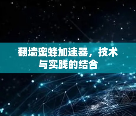 翻墙蜜蜂加速器,技术与实践的结合 翻墙蜜蜂加速器,技术与实践的结合
