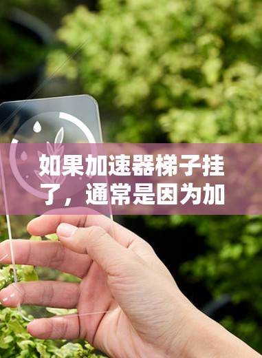 如果加速器梯子挂了,通常是因为加速器软件无法正确加载或管理梯子插件。以下是解决此类问题的步骤 如果加速器梯子挂了,通常是因为加速器软件无法正确加载或管理梯子插件。以下是解决此类问题的步骤