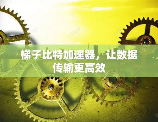 梯子比特加速器,让数据传输更高效 梯子比特加速器,让数据传输更高效
