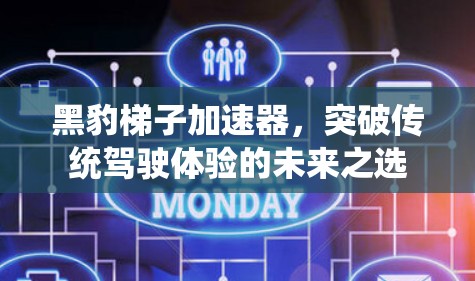 黑豹梯子加速器,突破传统驾驶体验的未来之选 黑豹梯子加速器,突破传统驾驶体验的未来之选