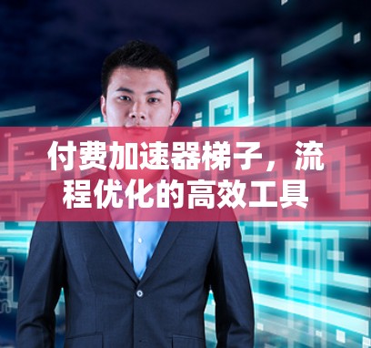 付费加速器梯子,流程优化的高效工具 付费加速器梯子,流程优化的高效工具