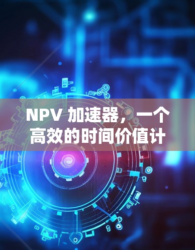 NPV 加速器，一个高效的时间价值计算工具