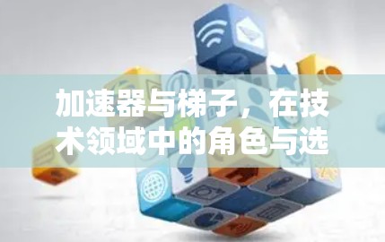 加速器与梯子，在技术领域中的角色与选择