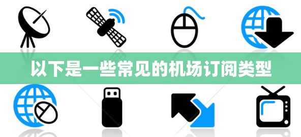 以下是一些常见的机场订阅类型 以下是一些常见的机场订阅类型