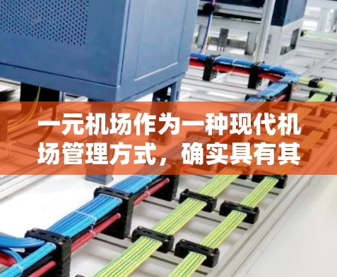 一元机场作为一种现代机场管理方式,确实具有其独特的优势和挑战。以下是对一元机场的详细分析 一元机场作为一种现代机场管理方式,确实具有其独特的优势和挑战。以下是对一元机场的详细分析