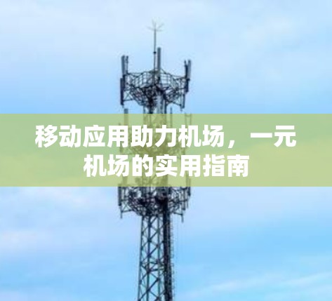 移动应用助力机场,一元机场的实用指南 移动应用助力机场,一元机场的实用指南