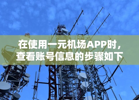 在使用一元机场APP时,查看账号信息的步骤如下 在使用一元机场APP时,查看账号信息的步骤如下