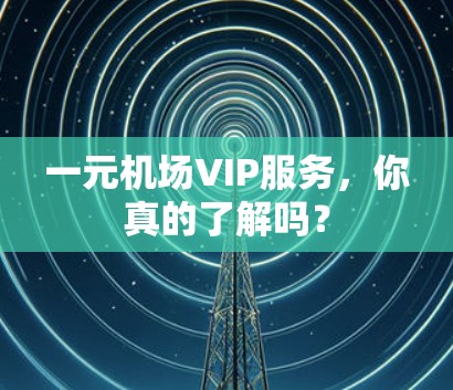 一元机场VIP服务,你真的了解吗? 一元机场VIP服务,你真的了解吗?