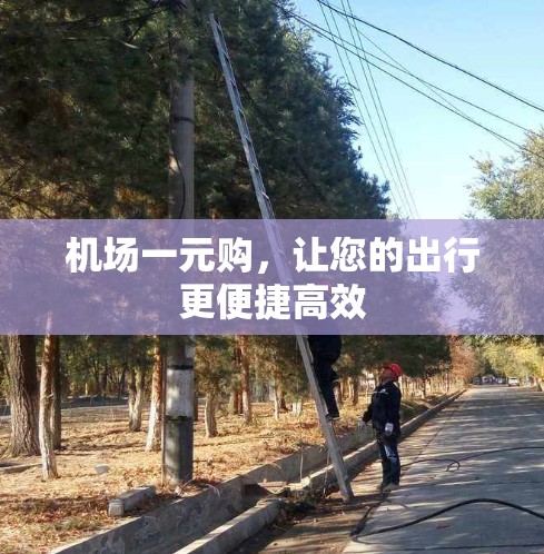 机场一元购，让您的出行更便捷高效
