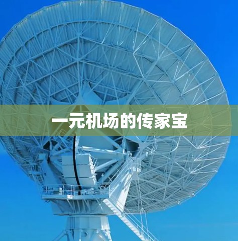 一元机场的传家宝 一元机场的传家宝