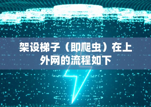 架设梯子(即爬虫)在上外网的流程如下 架设梯子(即爬虫)在上外网的流程如下