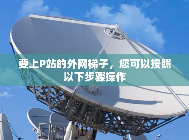 要上P站的外网梯子，您可以按照以下步骤操作