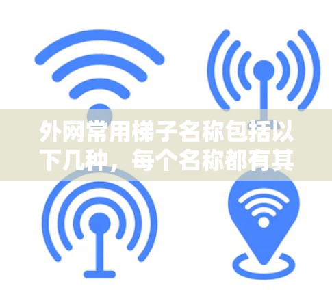 外网常用梯子名称包括以下几种，每个名称都有其特定的用途和适用场景