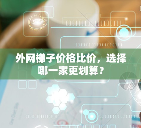 外网梯子价格比价，选择哪一家更划算？