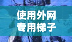 使用外网专用梯子进行网络连接,可以有效地将本地或工作站连接到外网。以下是详细的使用步骤和注意事项 使用外网专用梯子进行网络连接,可以有效地将本地或工作站连接到外网。以下是详细的使用步骤和注意事项