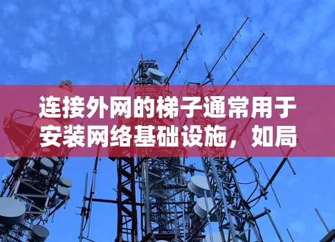 连接外网的梯子通常用于安装网络基础设施,如局域网(LAN)或广域网(GAN)以下是一些推荐的梯子类型及其购买建议 连接外网的梯子通常用于安装网络基础设施,如局域网(LAN)或广域网(GAN)以下是一些推荐的梯子类型及其购买建议