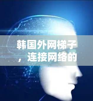 韩国外网梯子,连接网络的必用设备 韩国外网梯子,连接网络的必用设备