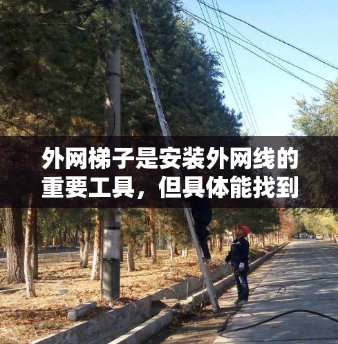 外网梯子是安装外网线的重要工具，但具体能找到外网梯子的地方可能因地区、国家和环境而异。以下是一些通用的建议和可能的区域推荐
