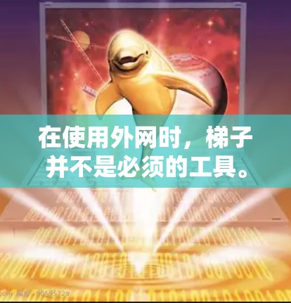 在使用外网时，梯子并不是必须的工具。以下是详细分析
