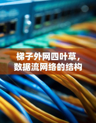 梯子外网四叶草,数据流网络的结构与优化 梯子外网四叶草,数据流网络的结构与优化