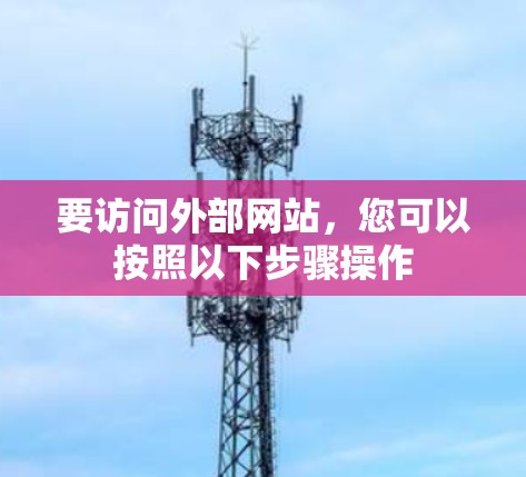 要访问外部网站，您可以按照以下步骤操作