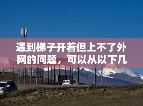 遇到梯子开着但上不了外网的问题，可以从以下几个方面进行排查和解决
