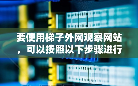 要使用梯子外网观察网站，可以按照以下步骤进行
