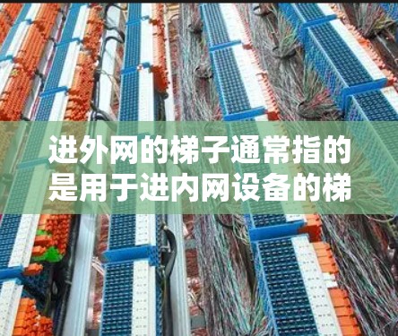 进外网的梯子通常指的是用于进内网设备的梯子。进外网可能指的是用于进入内网设备的设备，如梯子、ladder，或者可能是指用于进内网的设备材质。进外网的材质通常会根据其用途和安全需求来选择