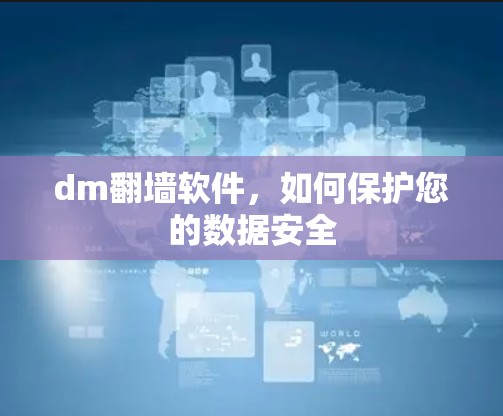 dm翻墙软件，如何保护您的数据安全