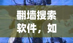翻墙搜索软件，如W3SchoolS、NetKing和Web-Shield，旨在管理网络防火墙，保护用户免受非法流量的侵入。以下是对这些软件的详细介绍