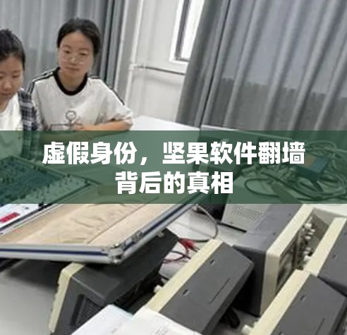 虚假身份,坚果软件翻墙背后的真相 虚假身份,坚果软件翻墙背后的真相