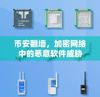 币安翻墙，加密网络中的恶意软件威胁