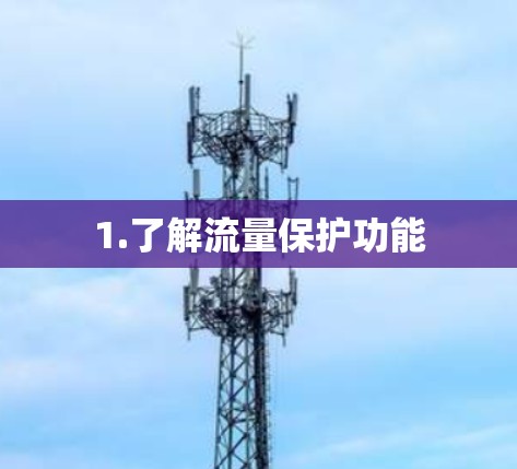 1.了解流量保护功能 1.了解流量保护功能