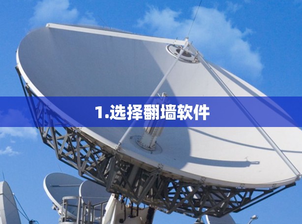 1.选择翻墙软件 1.选择翻墙软件
