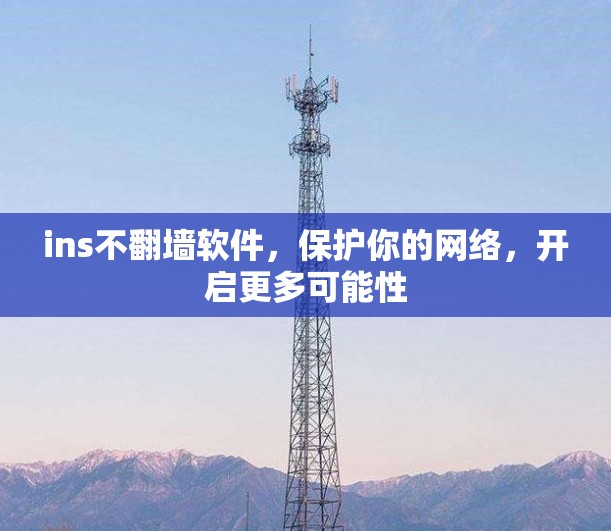 ins不翻墙软件，保护你的网络，开启更多可能性