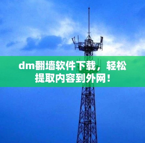 dm翻墙软件下载，轻松提取内容到外网！